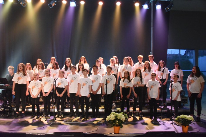 As de coeur -concert 2018 (35)